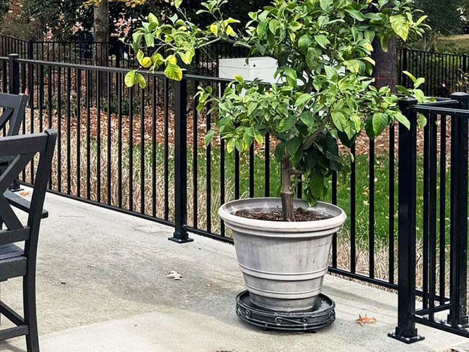 Aluminum fence in Virginia Beach Virginia